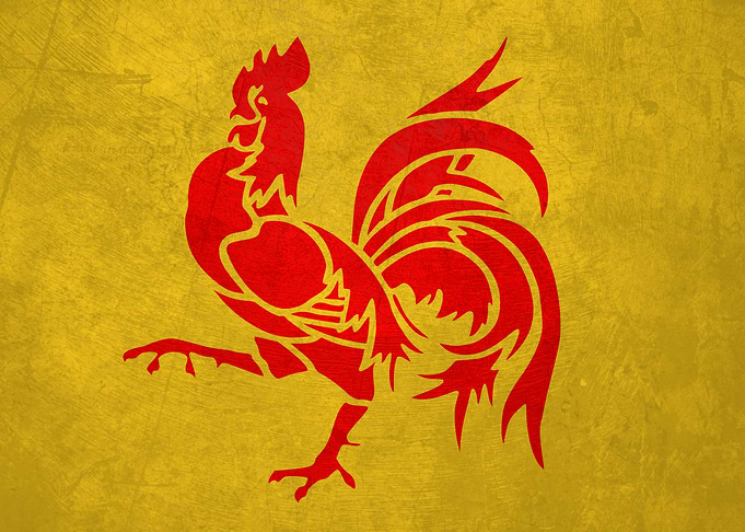 Flag of Wallonia on Wall