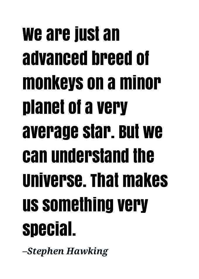 Stephen Hawking quote