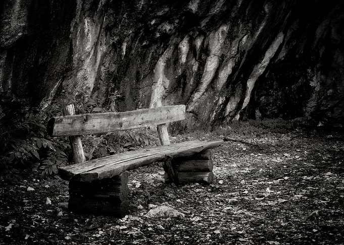 Bench On Mountain Trail