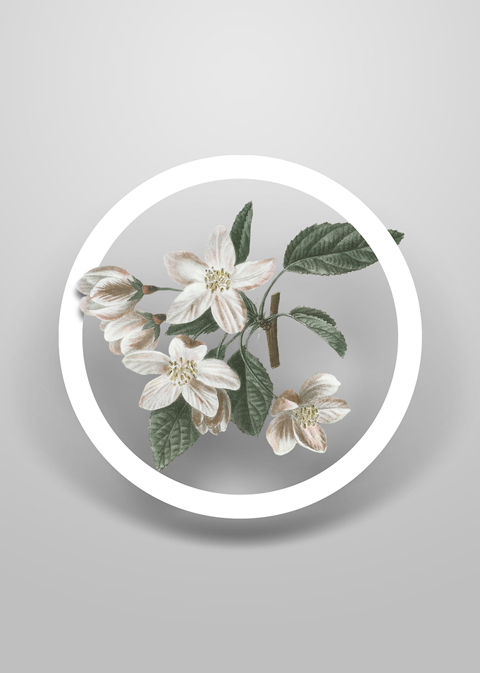 Vintage Crabapple Flower