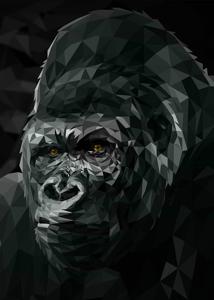 KONG