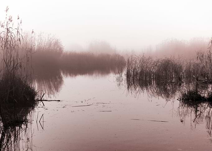 Beautiful minimalist lake