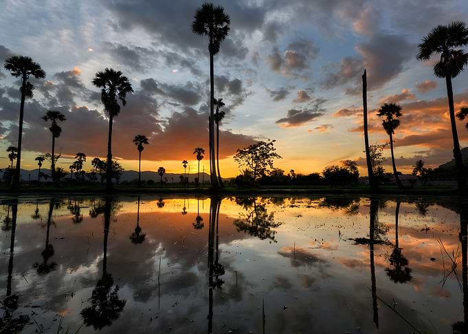 sunrise Reflection