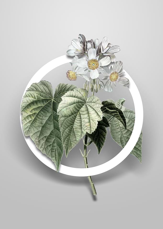 African Hemp Flower Circle