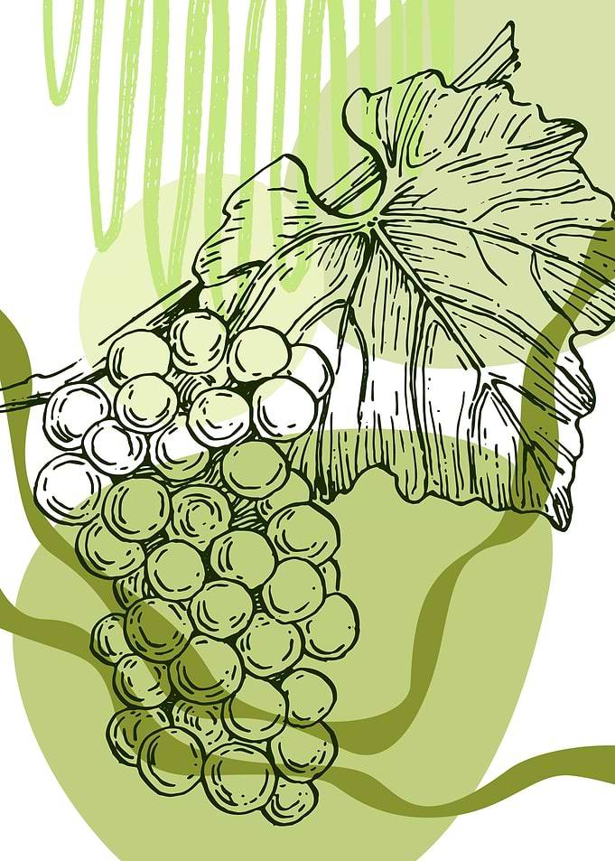 Grape Minimalist
