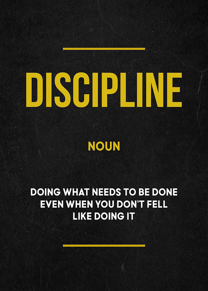 discipline definition