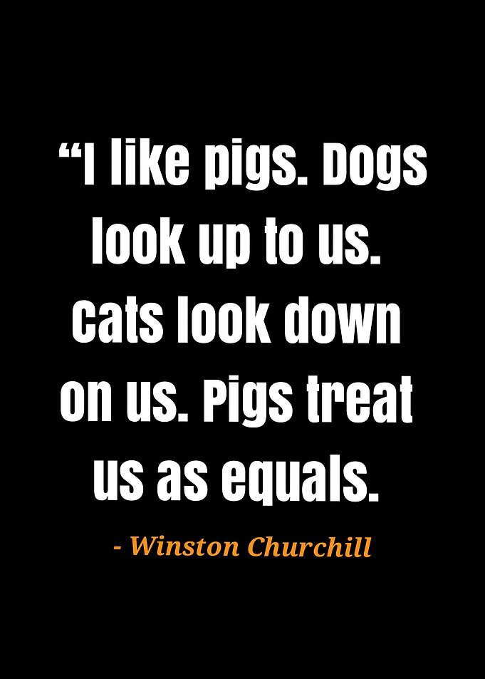 quote Winston Churchill