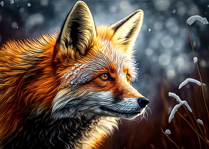 Fox