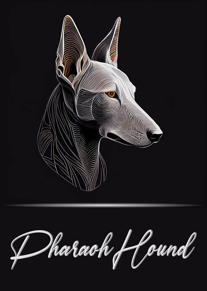 Pharaoh Hound