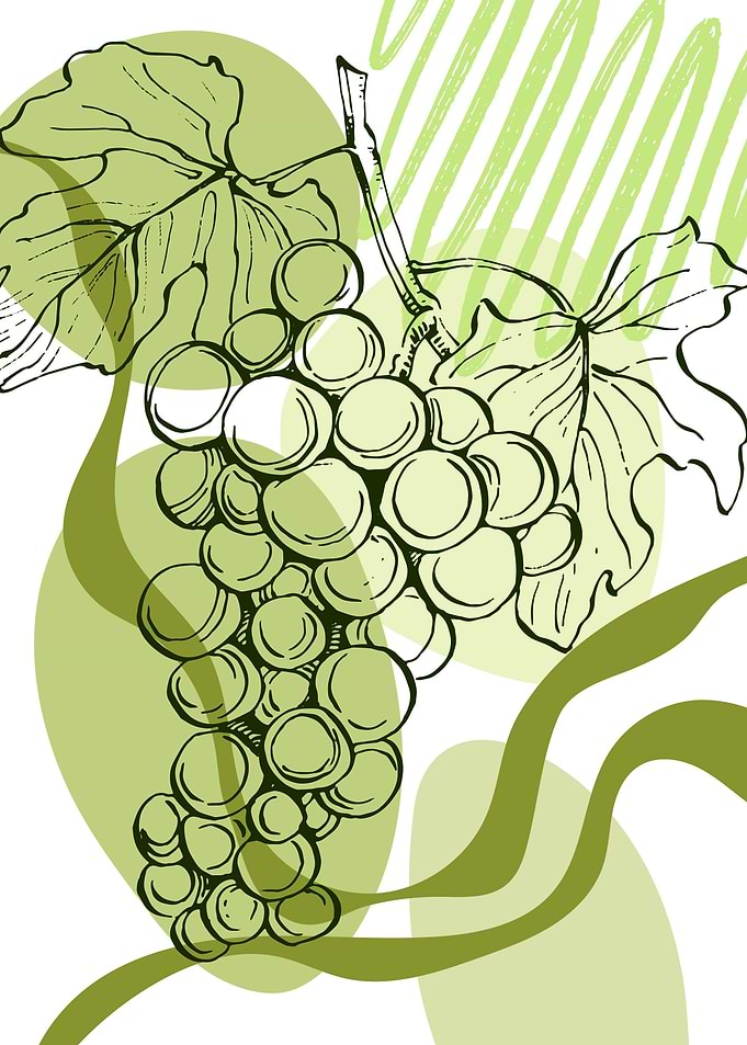 Grape Minimalist
