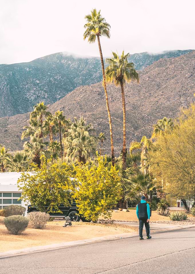Palm Springs Street Photo