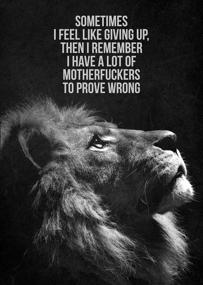 Motivation Quote