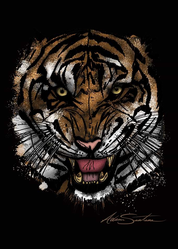 Tiger Face