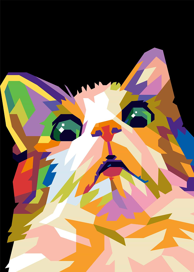 scared cat meme