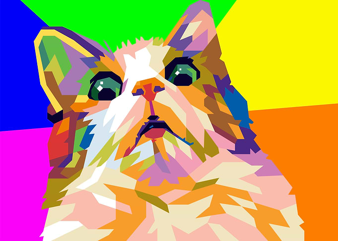 scared cat