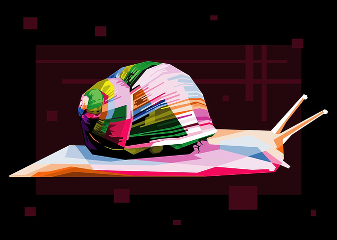 colorful snail on pop art