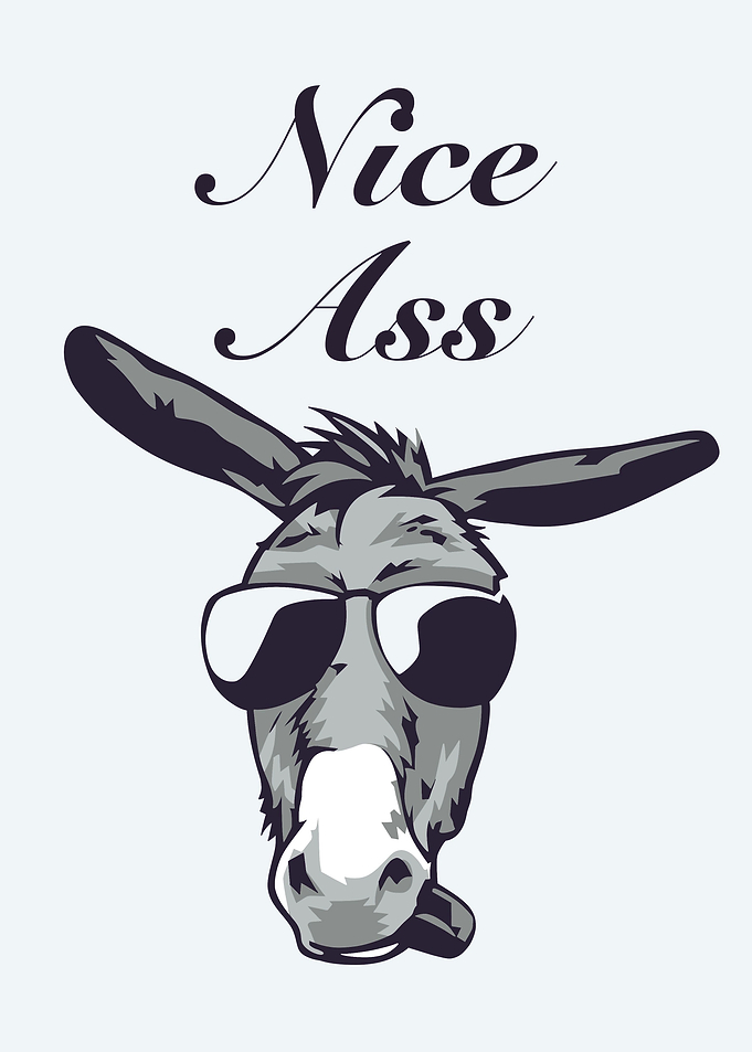 Funny Donkey bathroom post