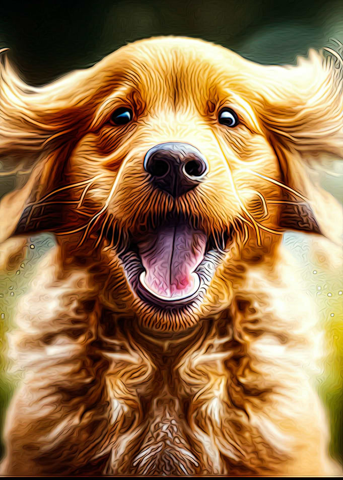 Dog