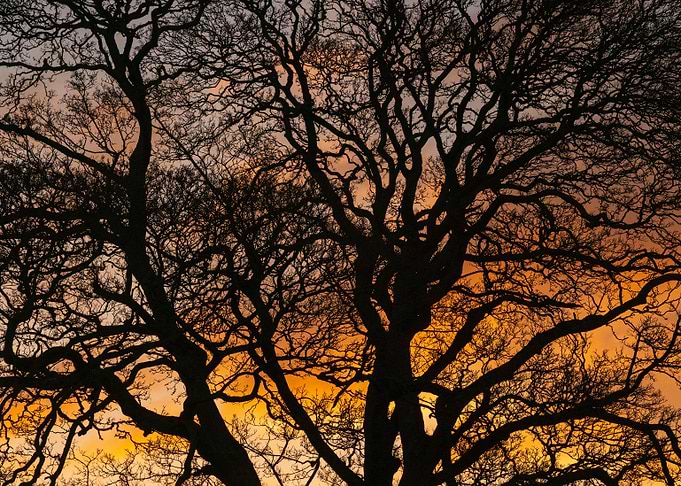 Blazing Sunrise