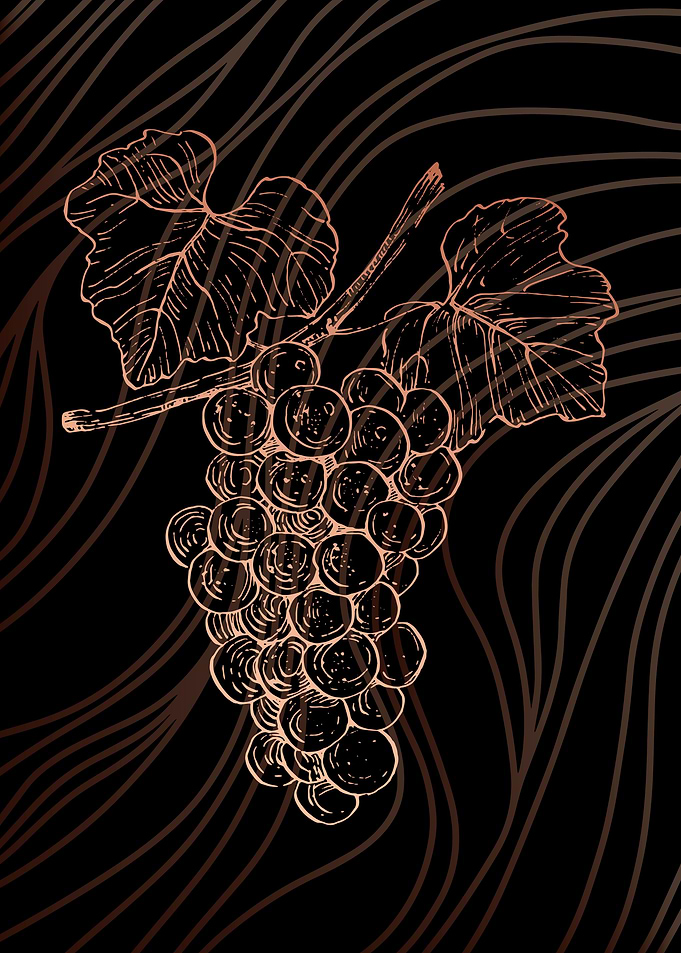 Grape Minimalist