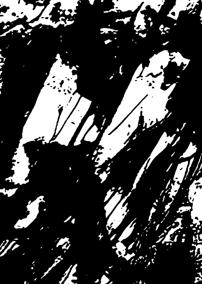 Black and White Abstract