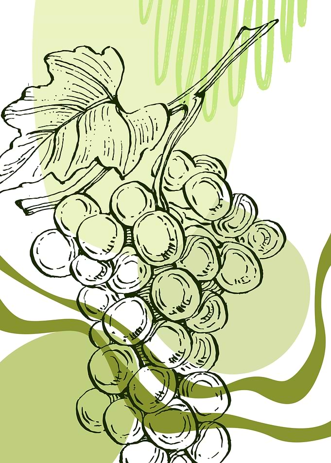 Grape Minimalist
