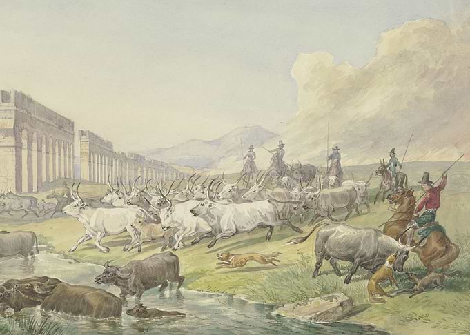 Roman farmers