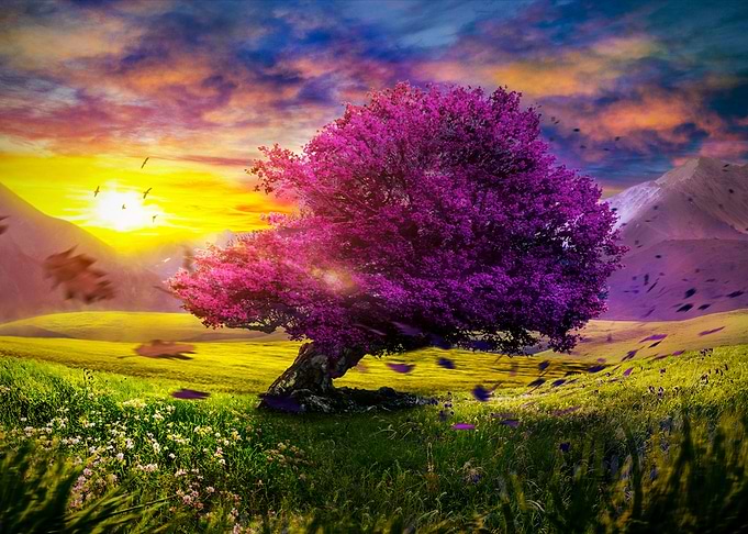 Fantasy nature tree