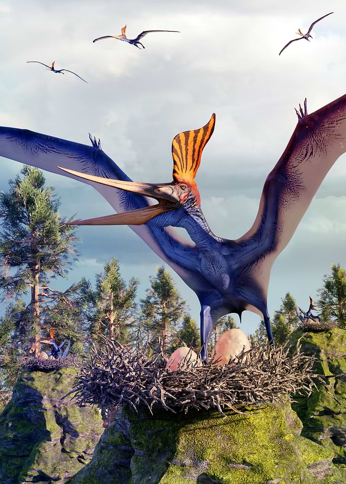 Pterodactyl dinosaur