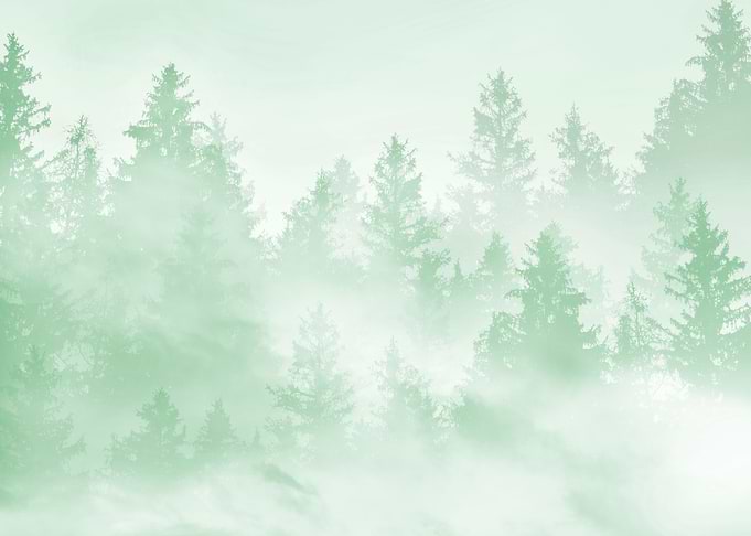 Soft Green Forest Dream 1
