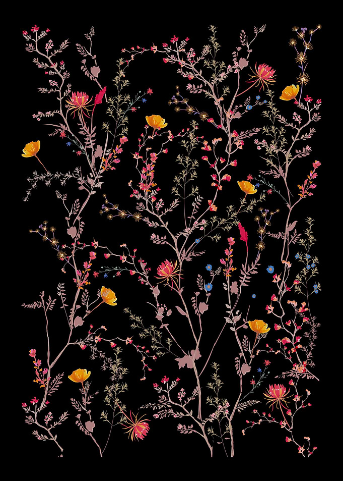 Wildflowers Women Flowers