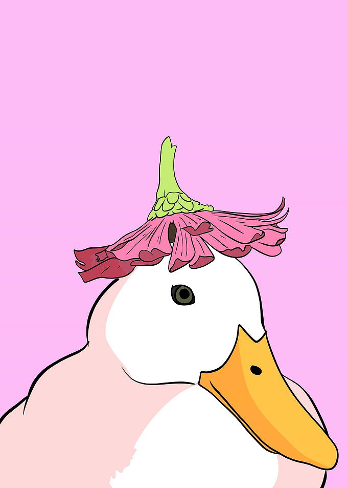 cute duck