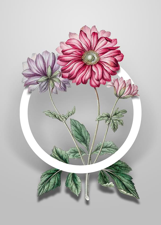 Vintage Hyacinth Flower