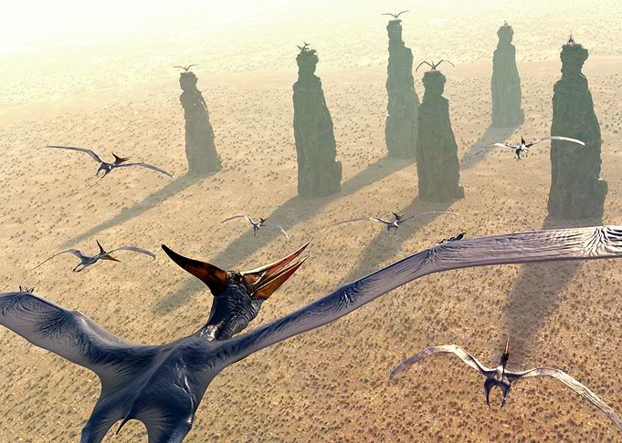 Pterodactyl dinosaur