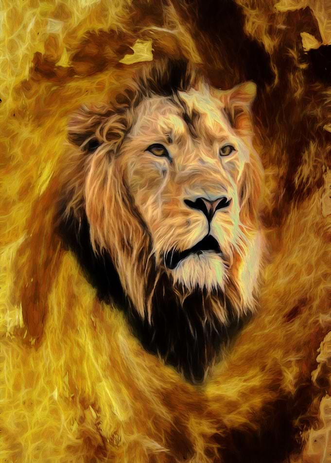 Abstract lion head