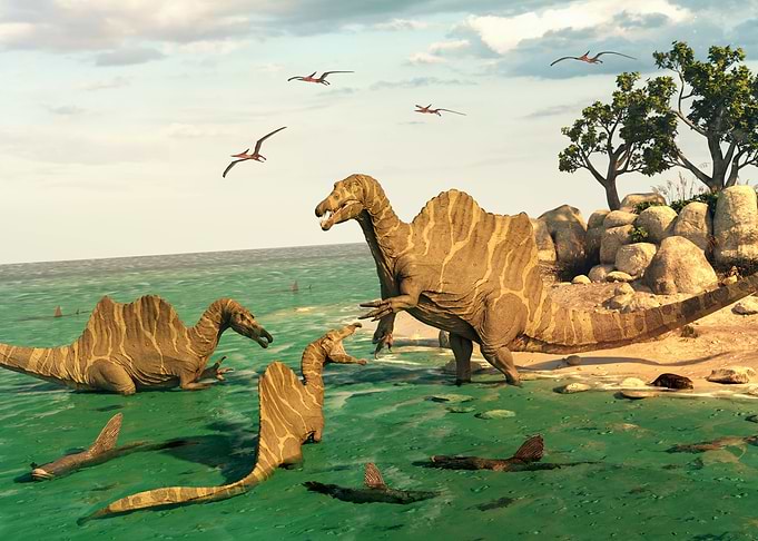 Spinosaurus dinosaur