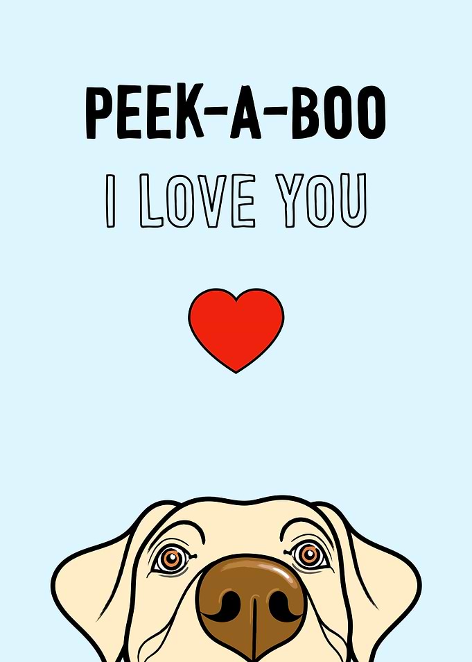 Labrador Love Peek A Boo