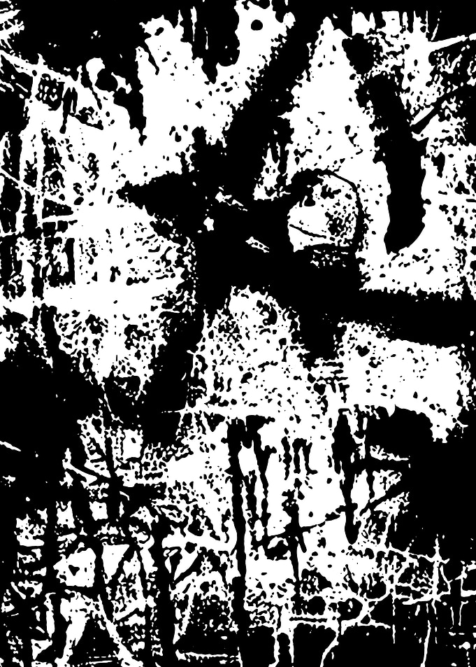 Black and White Abstract
