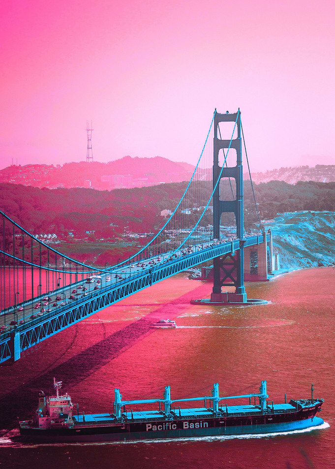 the Bay