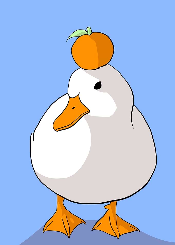 duck orange hat