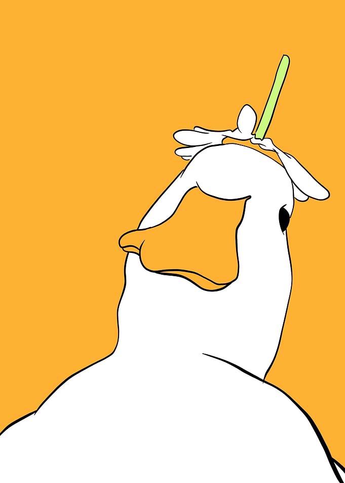 duck flower hat