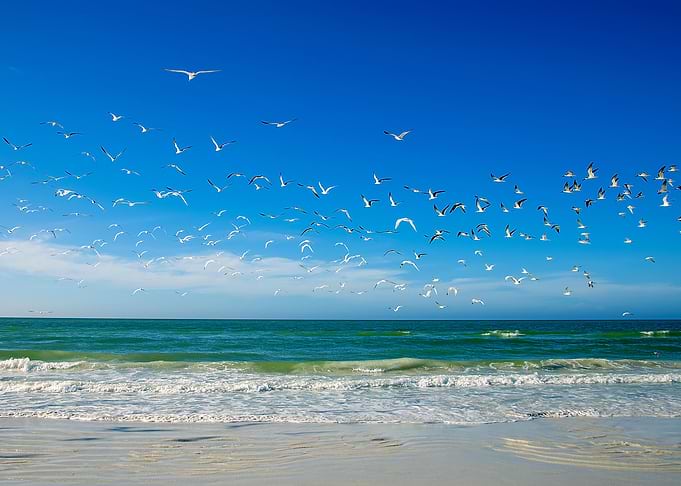 Beach