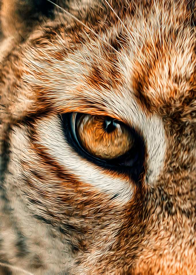 Wolf Eye