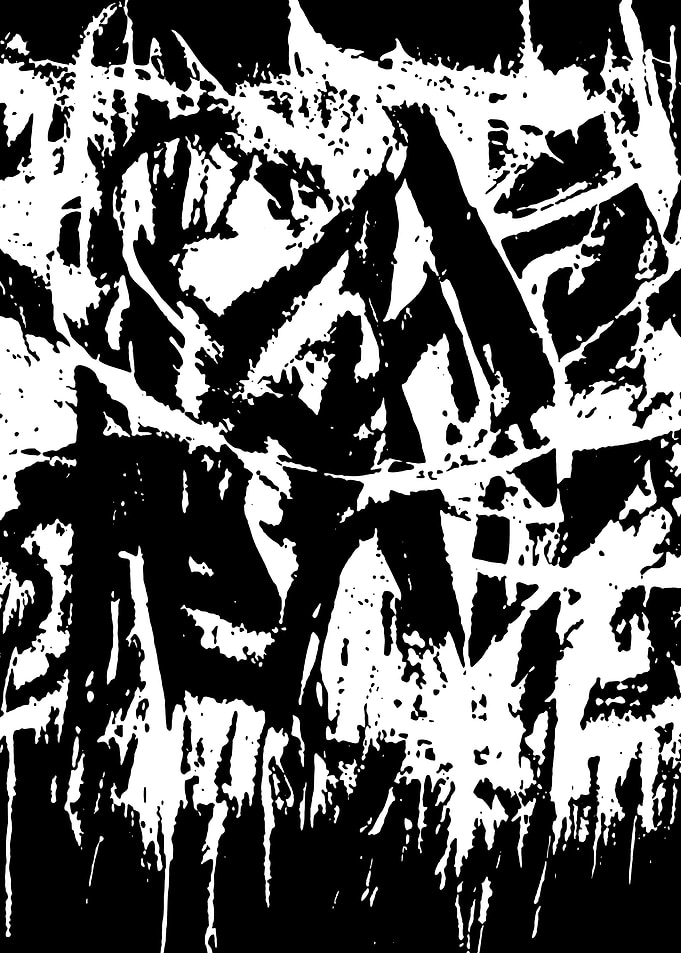 Black and White Abstract