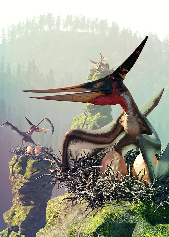 Pterodactyl dinosaur