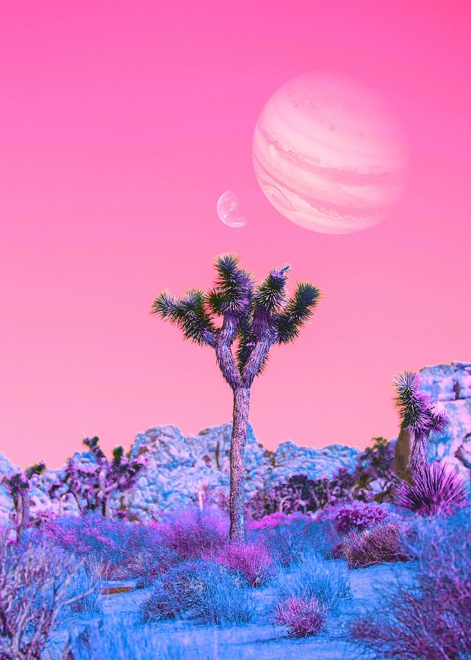 Sly Nature