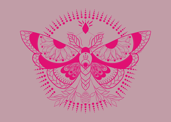 Pink Lunar Moth