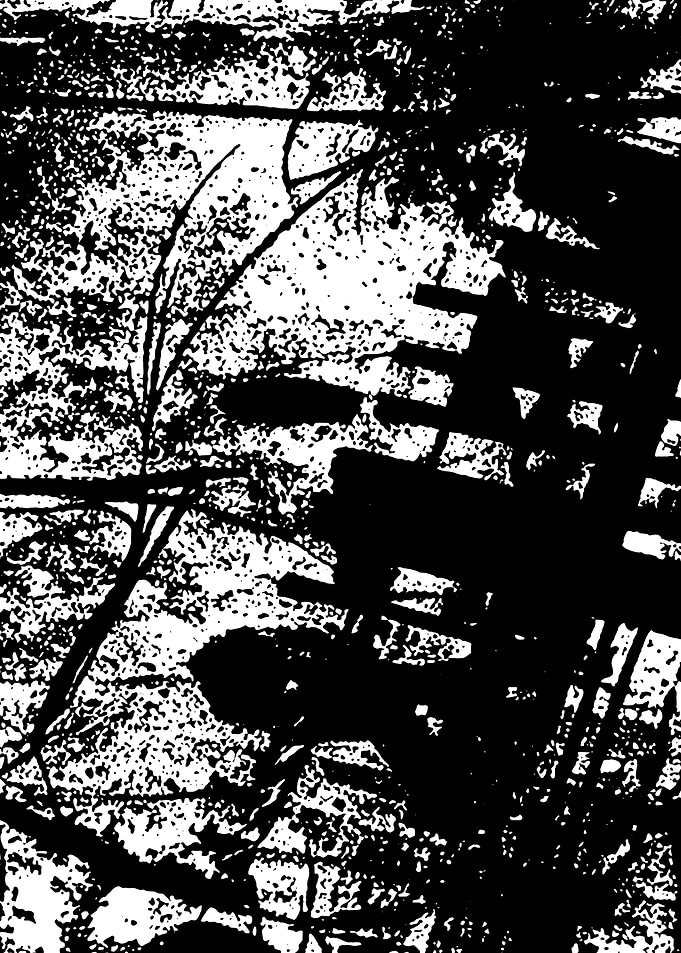 Black and White Abstract