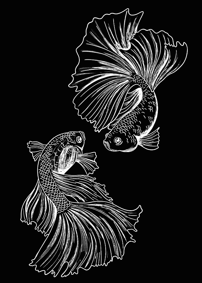 fish