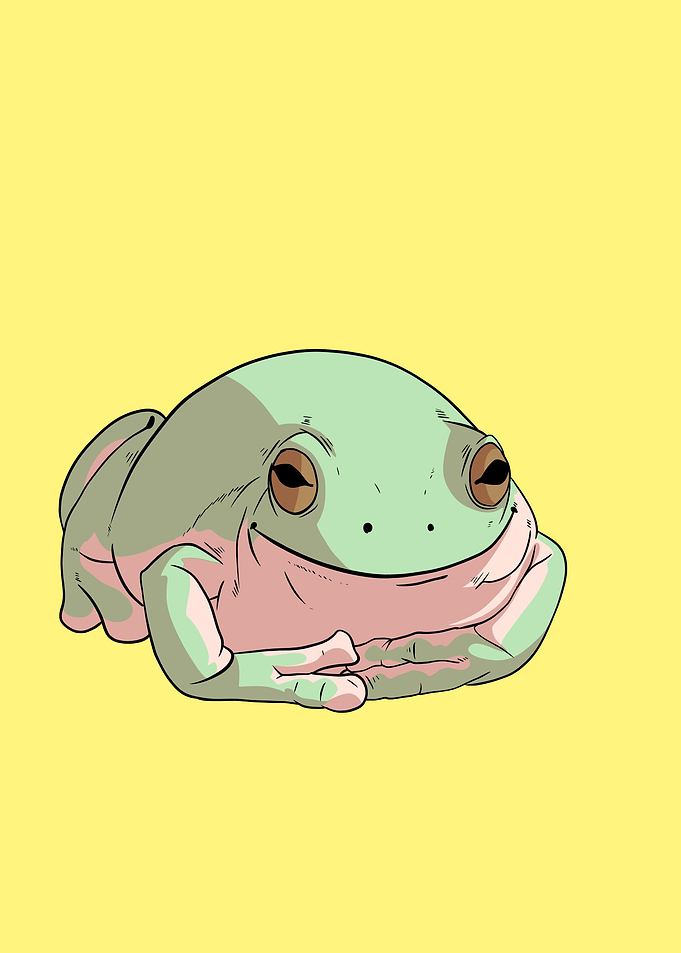 smiling frog